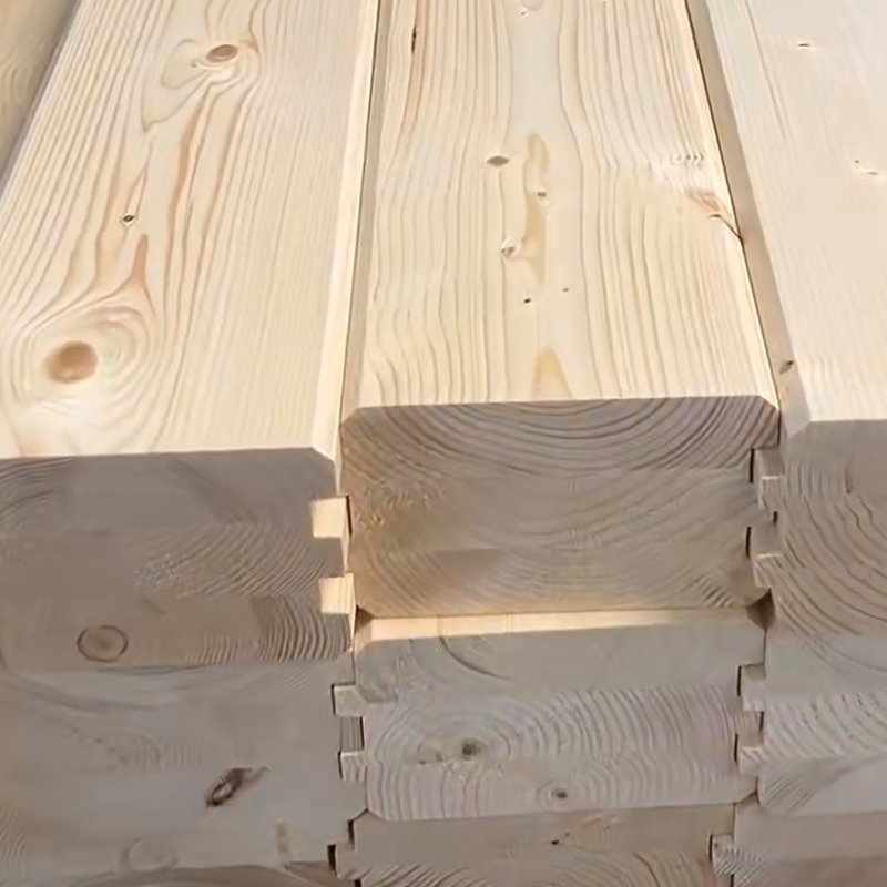 Ladin Glulam Günlüğü